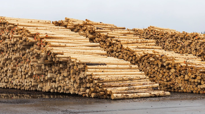 MADE FROM LATVIAN TIMBER, GROWN IN OUR OWN FORESTS